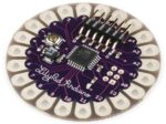 ARDUINO LILYPAD